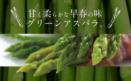 先行予約【便利な小分け袋入】グリーンアスパラ1.0kg（200g×5袋）(2024年5月中旬より順次発送予定)_03838