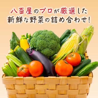 ふるさと納税 御坊市 旬の新鮮野菜セット8種以上【野菜詰め合わせ】 |  | 01