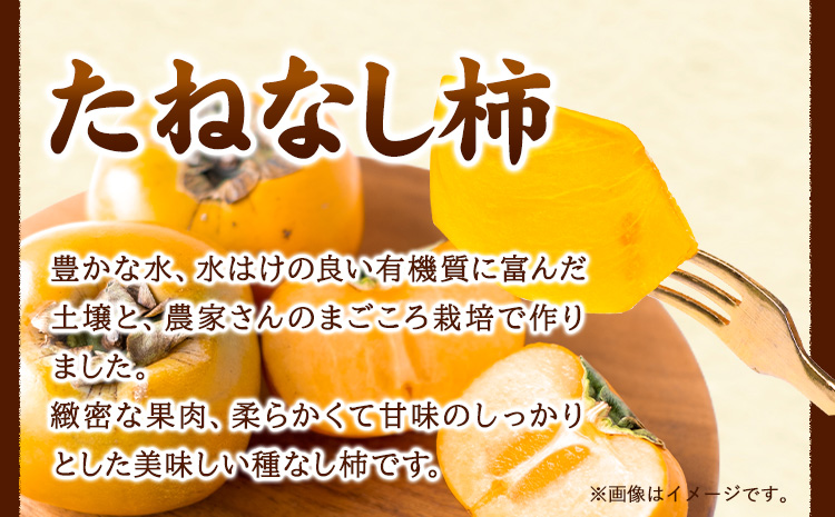 【秋の味覚】【先行予約】和歌山産のたねなし柿ご家庭用約7.5kg《2026年9月上旬-11月中旬頃出荷》かき種なし---wsh_gsk163_9j11c_25_16000_75---st-p
