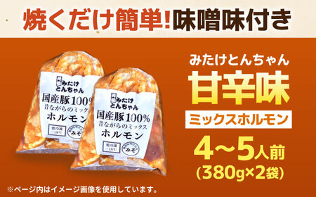 「元祖みたけとんちゃん」 昔ながらのミックスホルモン 2袋 / モツ もつ レバー ホルモン / 御嵩町 / 藤よし[AVAA047]