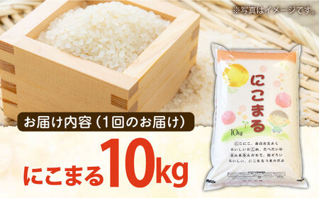 【 3回定期便 】長崎県産 精米 にこまる 10kg 総計 30kg [SDR006] 米