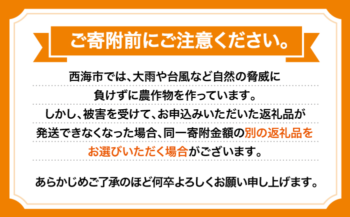 【11月中旬より順次発送】原口みかん 約5kg＜道の駅さいかい みかんドーム＞ [CAI039]