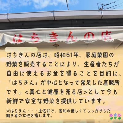 ふるさと納税 佐川町 <年4回定期便> はちきんの店 野菜 セット 7~10品 |  | 01