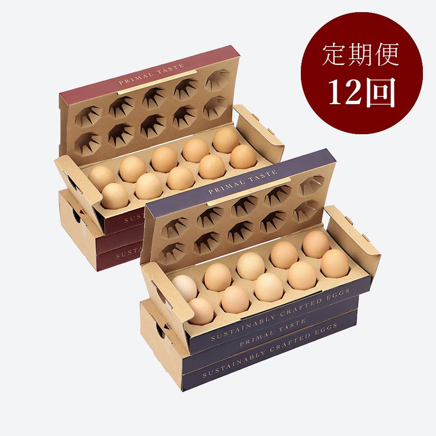 ＜とさやま養鶏場＞土佐ジロー鶏卵(10個×4パック)定期便１２カ月コース