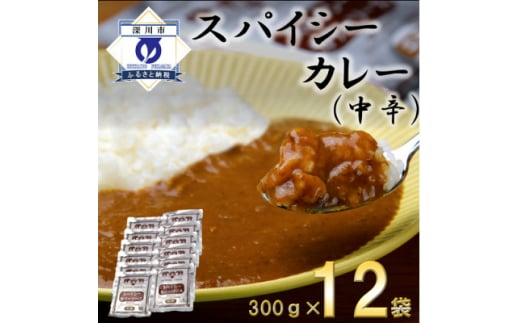 
スパイシーカレー中辛(レトルト)300g×12袋【1375353】
