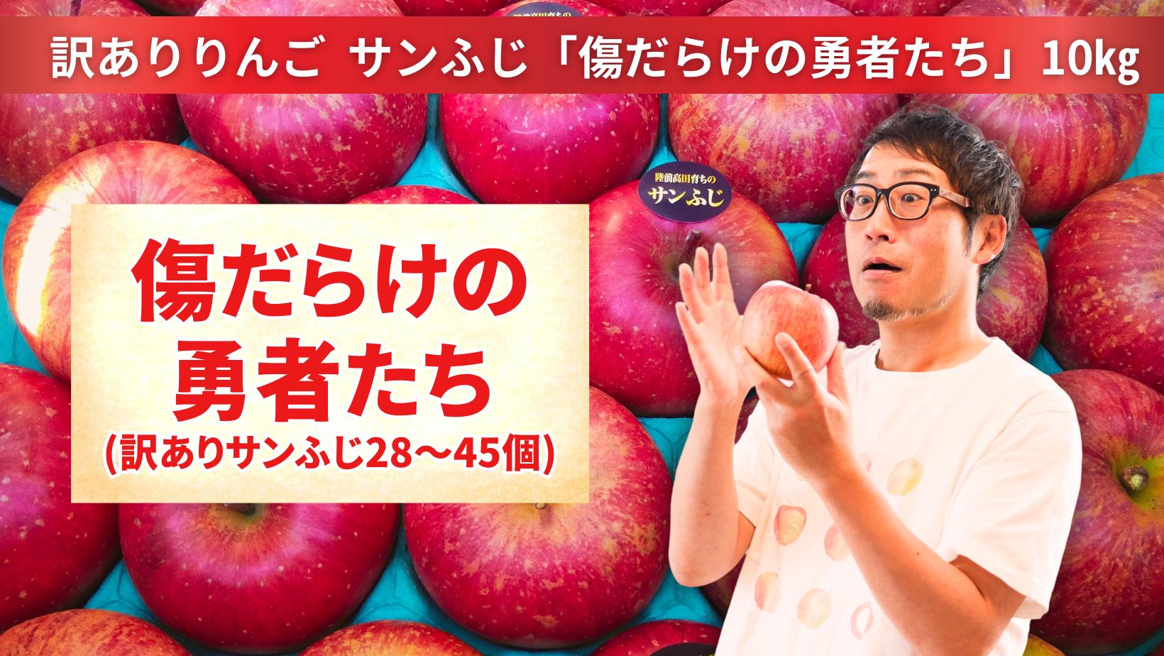 
            【訳あり品】傷だらけの勇者たち サンふじ 10kg 【 りんご 旬 お届け 岩手 陸前高田 】 2025年11月下旬以降発送予定 RT2063
          