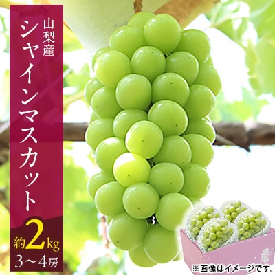 【2026年発送 先行受付】山梨市 シャインマスカット(約2kg)3～4房入り 化粧箱入り【配送不可地域：離島・沖縄県】