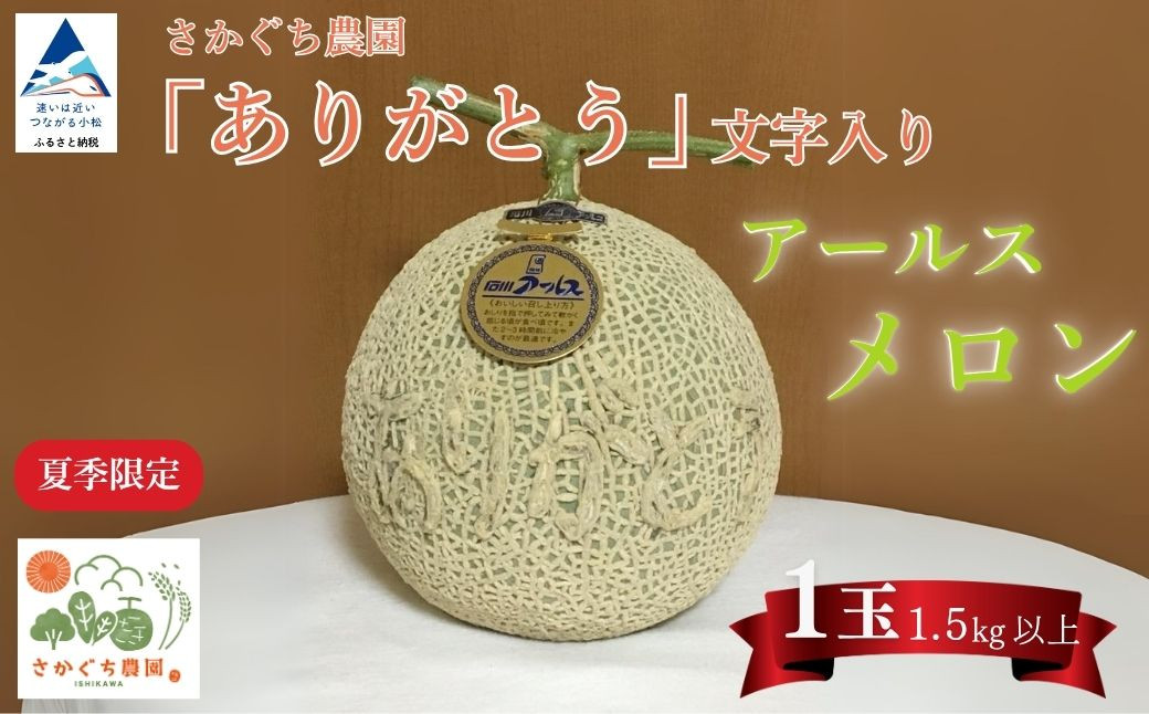 【先行予約】感謝の気持ちを込めたサプライズメロン《数量限定》 アールスメロン（「ありがとう」の文字入り）1玉1.5kg以上 化粧箱入り 令和8年8月上旬より順次発送 先行予約 マスクメロン 果物 フル