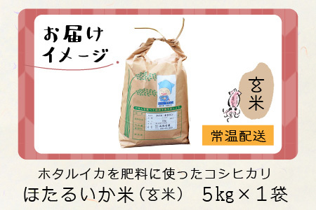 【先行予約】【新米】ほたるいか米（新米/玄米５kg）※10月以降順次発送