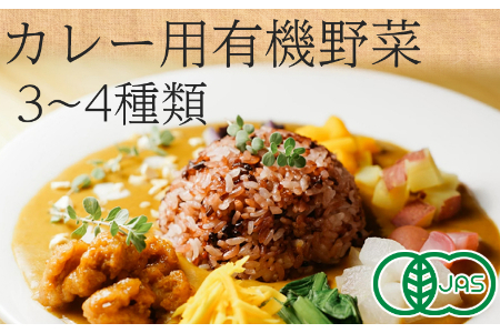 有機野菜でカレーを作ろう　カレーに使える有機野菜を3～4種類　定番野菜だからなんにでも使えます。 2142