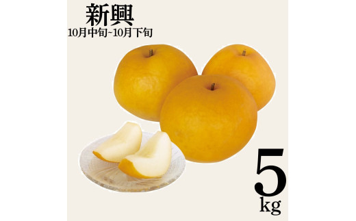 10M.新興5kg
