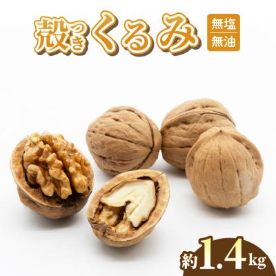 ふるさと納税 東御市 殻つきくるみ約1.4kg(2025年収穫分)
