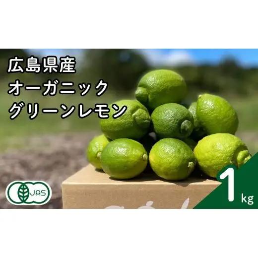 グリーンレモン 約1kg 【2026年 10月 ～ 11月 発送】 先行予約