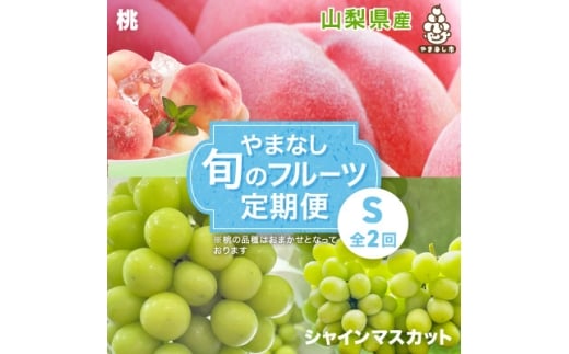 ＜発送月固定定期便＞やまなし旬のフルーツ定期便(桃・シャインマスカット)＜S＞全2回【4077908】