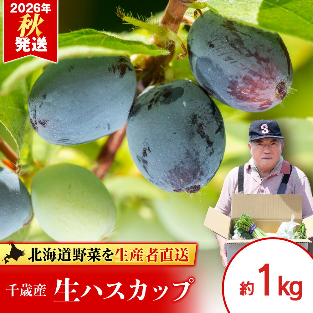 【ふるさと納税】2026年発送 生ハスカップ 1kg【土居ファーム】 ハスカップ 北海道 フルーツ 生ハスカップ 冷蔵 千歳 北海道 果物 ベリー お菓子作り 北海道ふるさと納税 千歳市 ふるさと納税【北海道千歳市】
