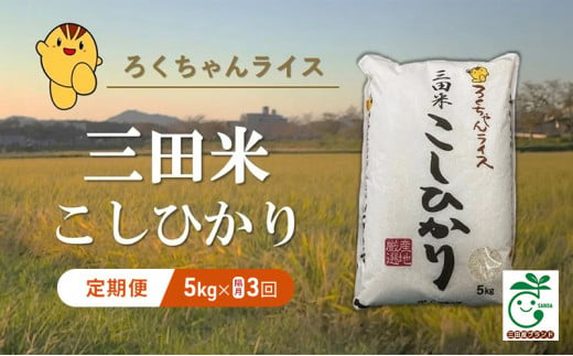 【ふるさと納税】 【新米予約】 【隔月3回定期便】 令和6年産 三田米 コシヒカリ 5kg 米 お米 白米 新米 精米 こめ コメ こしひかり ご飯 数量限定 訳あり ふるさと納税 ふるさと 人気 おすすめ 送料無料 兵庫県 三田市 [№5337-0195]