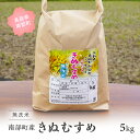 【ふるさと納税】＜令和6年産・新米＞鳥取県南部町産 無洗米 きぬむすめ 5kg 5キロ 米 お米 おこめ こめ コメ キヌムスメ 無洗 板谷米穀店