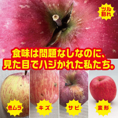 【2025年11月上旬～発送開始】シナノスイート　訳ありりんご　12～23個入　約5Kg【配送不可地域：離島】
