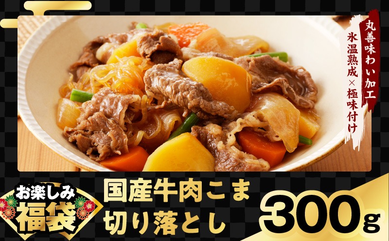 mrz0327 肉福袋 4種 1.9kg 焼肉セット（牛肉 切り落とし／牛ハラミ／豚肉 スペアリブ／鶏肉）【氷温熟成×極味付け 焼くだけ 食べ比べ ふくぶくろ お楽しみ 簡単調理】