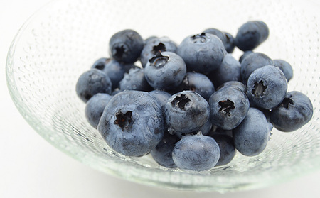 山形の朝摘み生ブルーベリー「ガイアの雫」500g(100g×5パック) FY25-109