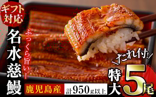 【父の日】鹿児島県産うなぎ蒲焼 名水慈鰻 特大5尾(1尾190g以上)＜計950g以上＞ c5-037-pp