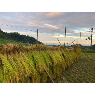 ふるさと納税 大津市 農林22号玄米2kg 天日干し 栽培期間中農薬・化学肥料不使用