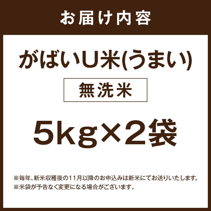伊万里産 がばいＵ米(うまい) ブレンド米 【無洗米】10kg(5kg×2袋) お米マイスター厳選 086-B950