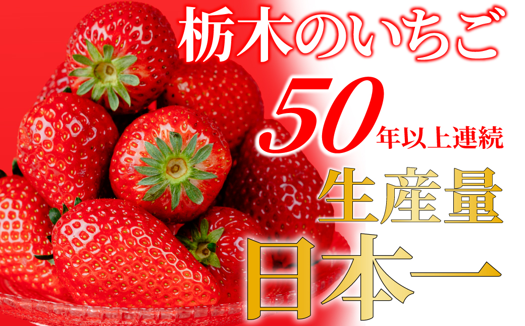 【先行受付：3月以降発送】いちご 鈴木ファームの とちあいか 大粒 約270g × 2パック 合計 約540g | いちご イチゴ 苺 とちあいか 完熟 果物 フルーツ くだもの 旬 産地直送 栃木県