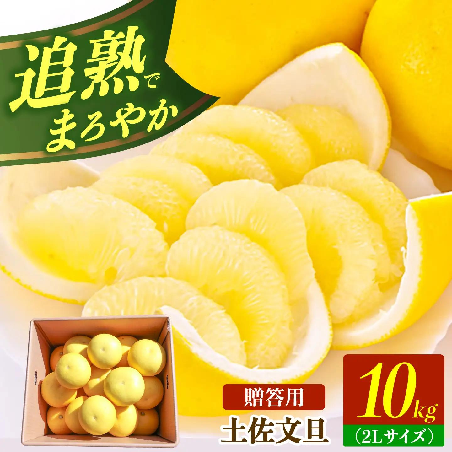 【先行予約】土佐文旦の創始 宮地文旦園の土佐文旦 贈答用2L 約10キロ 20~22個入り 10kg〈2027年3月上旬～4月下旬〉 高知県 土佐市【宮地文旦園】[BQBP005]