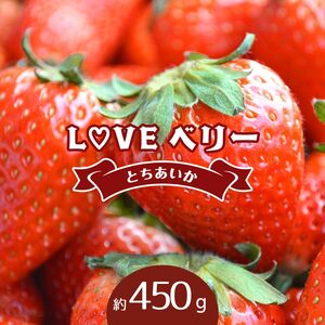 【2027年 先行予約】LOVE ベリー とちあいか 450g