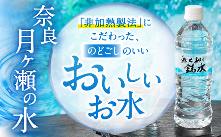 【定期便6ヶ月】奥大和の銘水　500ml×48本（1箱24本入り×2箱）×6ヶ月  定期便 水 軟水 奈良県 奈良市 Q-13 水 定期便 軟水 水 