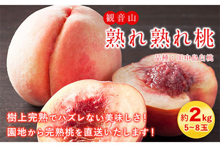 【先行予約】桃 もも 観音山熟れ熟れ桃（川中島白桃）2kg 有限会社柑香園《2025年7月下旬-8月下旬頃出荷》和歌山県 紀の川市 フルーツ 果物 桃