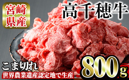 高千穂牛 こま切れ(800g)【MT002】【JAみやざき 高千穂牛ミートセンター】