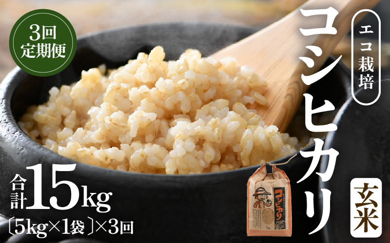 【先行予約】【令和8年産 新米】【一等米】エコ栽培コシヒカリ 定期便 ≪3ヶ月連続お届け≫ 玄米5kg×3回 計15kg ／ 鮮度抜群 福井県産 こしひかり ご飯 新鮮 玄米 ※2026年10月上旬以