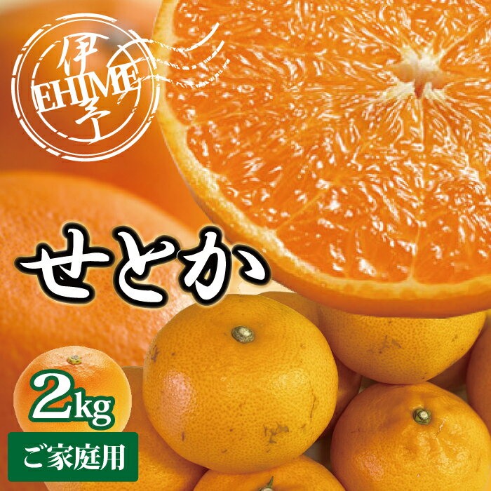 【ふるさと納税】訳あり せとか 2kg ご家庭用 みかん 愛媛 人気 サイズミックス 柑橘 伊予市【2026年2月下旬から順次発送】｜B235