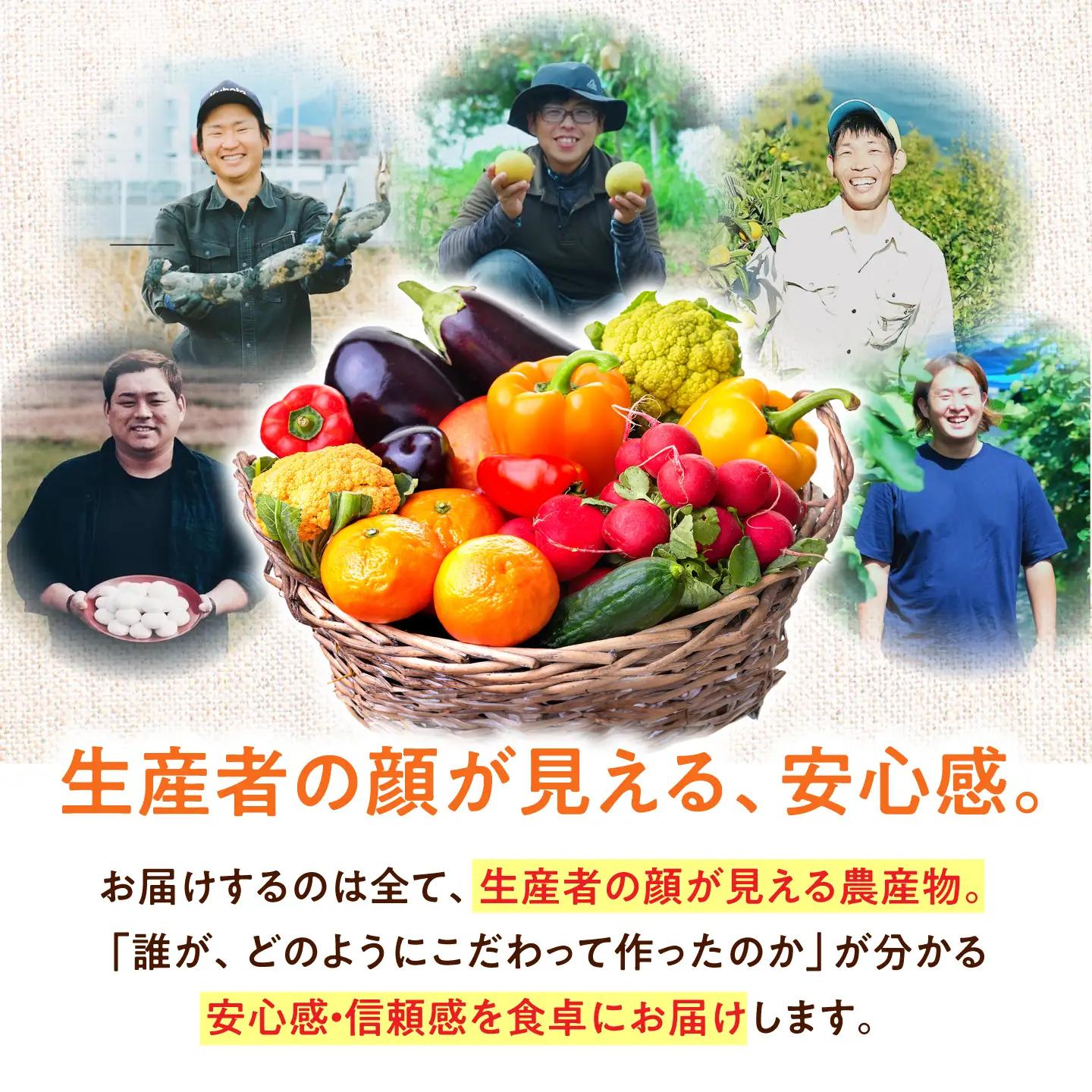 野菜【全6回定期便】【隔月】旬の農産物 野菜[AGBL001]
