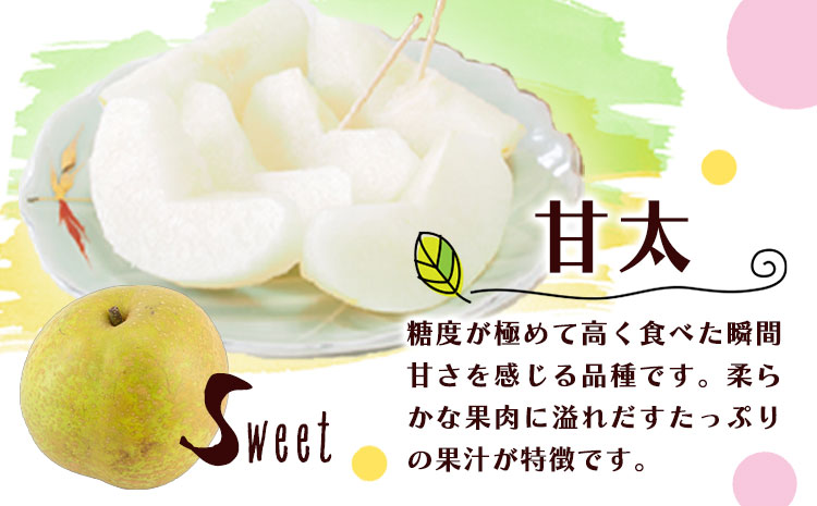 梨 なし 甘太梨 約5kg(5～18玉前後) 坂村梨園 《8月中旬-11月上旬頃出荷》熊本県 玉東町 秋 旬 梨 フルーツ 果物 期間限定---gkt_skmr_3_5kg---