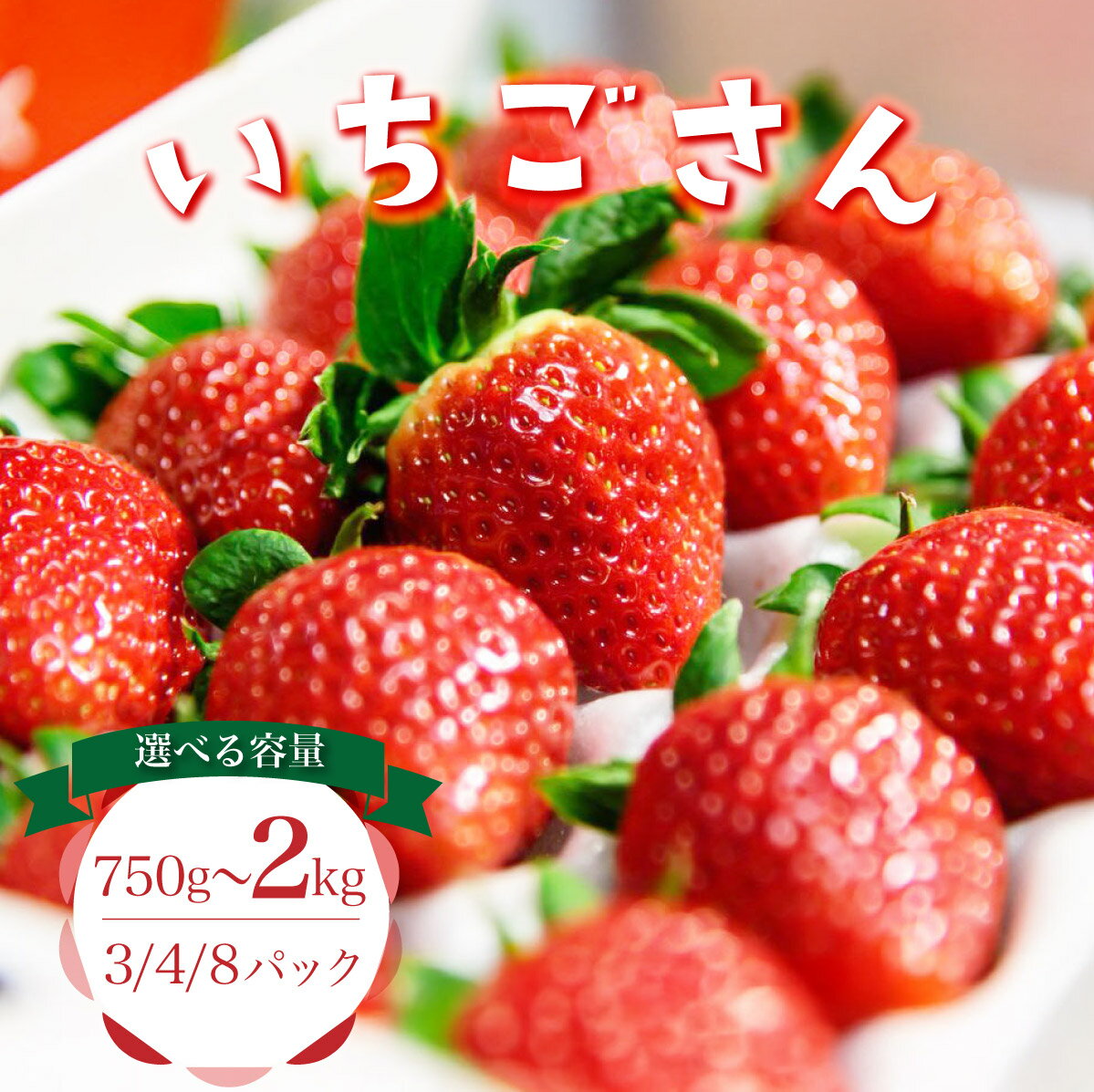 【ふるさと納税】＜選べる容量＞佐賀産 いちごさん＜3/4/8パック＞／ いちご 苺 イチゴ 佐賀 さが 大町 ふるさと納税
