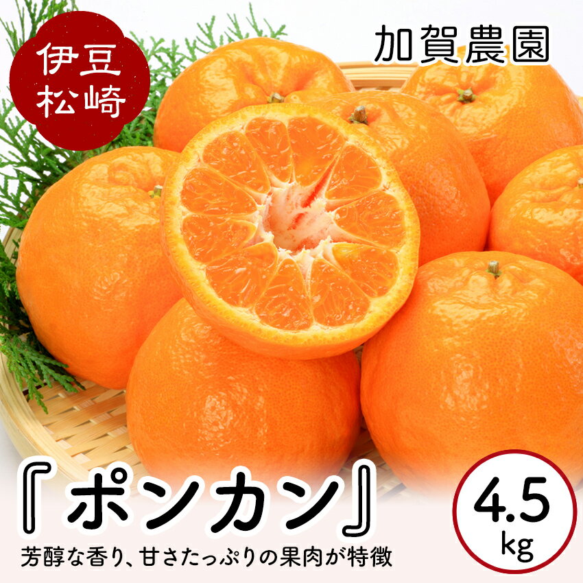 【ふるさと納税】加賀農園 ポンカン 約4.5～5kg