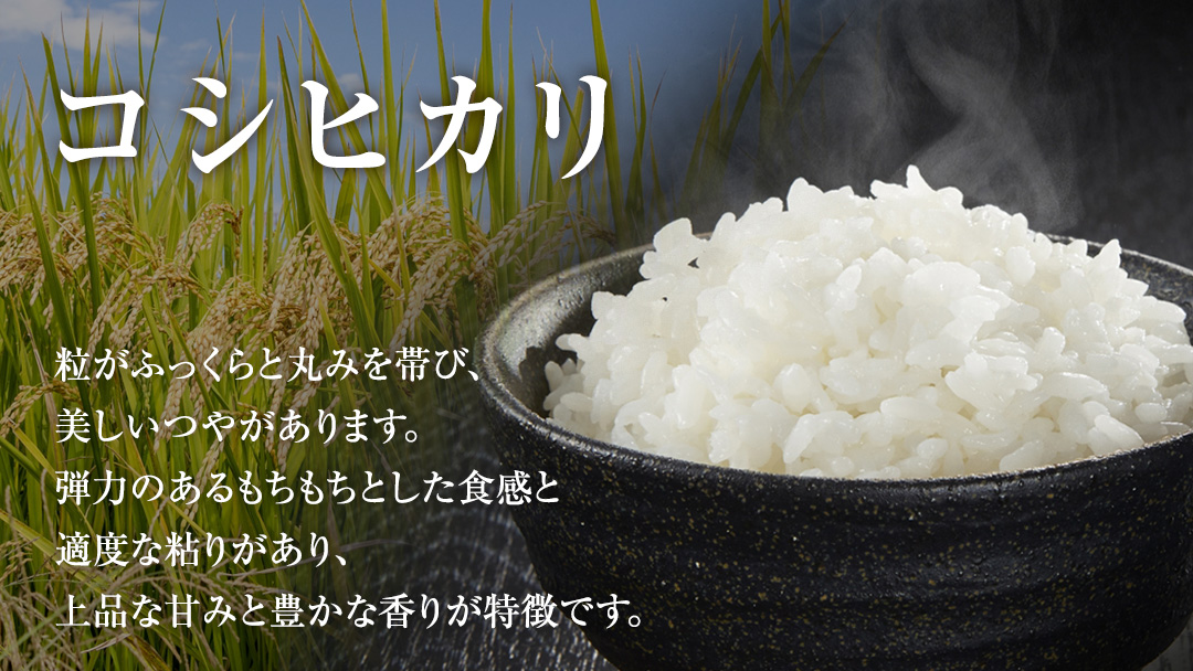 【 令和7年産 】 コシヒカリ ・ 干し芋 極上プレミアム セット 《 玄米 》 (玄米10kg／干し芋600g) (茨城県共通返礼品 かすみがうら市産) 米 ごはん もっちり 甘い コメ お米 銘柄