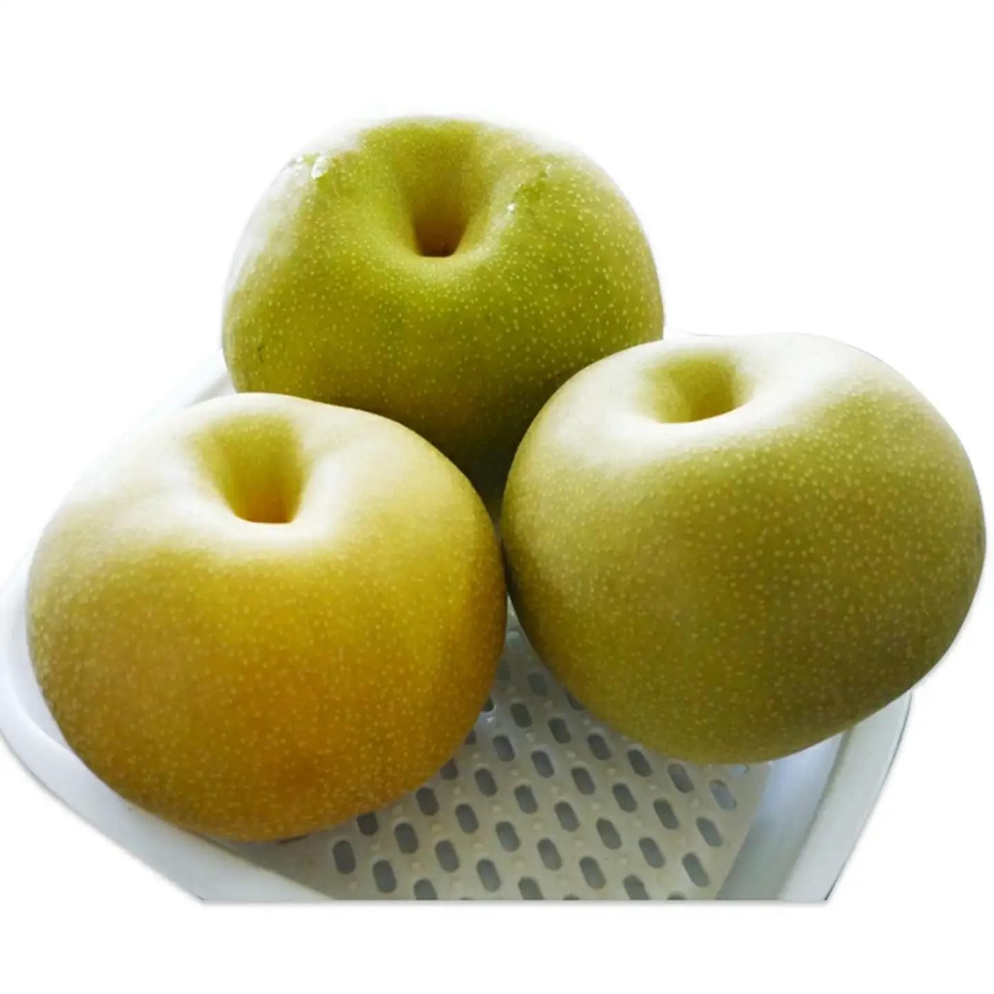 先行予約 梨 幸水 5kg（10〜14玉）　 梨