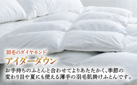 【クイーン】【至福の寝ごこち】 羽毛布団 肌掛け アイダーダウン×綿100％（ホワイト・精紡交撚）《壱岐市》【富士新幸九州】 [JDH086] アイダーダウン 布団 ふとん 綿100％ 肌掛け ダウン