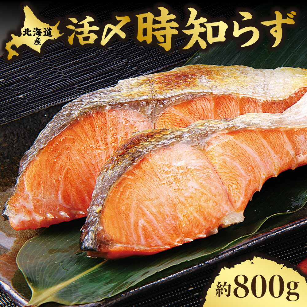 【ふるさと納税】活〆 時知らず 天然 鮭切身 中塩仕込 10切(2切160g×5パック) 800g 知床斜里産【配送不可地域：離島・沖縄県】