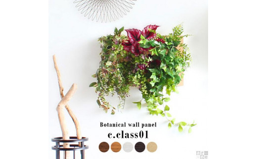 Botanical c.class 01　ダークブラウン