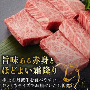 丹波牛 ひとくちステーキ 500g 風味豊かなステーキ 丹波牛ステーキ 牛肉ステーキ ひとくちステーキ