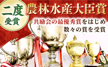 【全3回定期便】佐賀牛赤身スライス500g HBH059 赤身 スライス 佐賀牛 国産 定期便