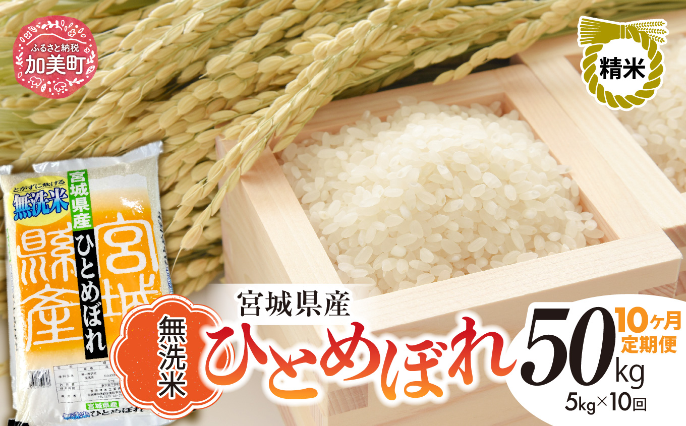 【10回定期便】R7 宮城県産 ひとめぼれ 無洗米 5kg×10回 [ 宮城県 加美町 菅原精米 ] 米 こめ コメ ご飯 sw-hb05-mu-t10-r7