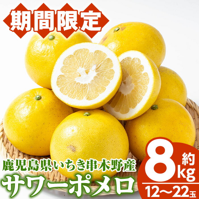 【ふるさと納税】＜先行予約受付中！＞《期間・数量限定》サワーポメロ (約8kg・12～22玉) 国産 鹿児島県産 果物 柑橘 サワーポメロ 大橘 文旦 パール柑 土佐文旦 旬 フルーツ 果実 冬季 常温 常温配送 箱 【磯部農園】