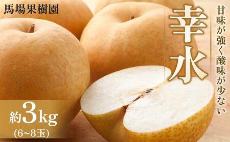 【馬場果樹園】梨「幸水」約3kg（5～8玉入）8月中旬～順次発送