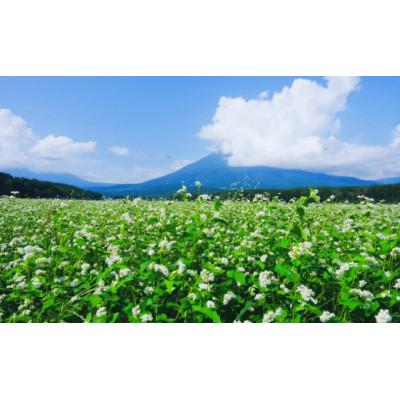 ふるさと納税 信濃町 一茶の里の生(なま)そば 「200g(つゆ付)×5袋」 |  | 03